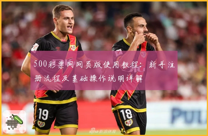 500彩票网网页版使用教程：新手注册流程及基础操作说明详解